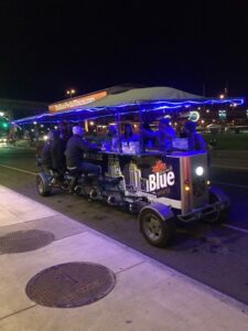 Have An Unparalleled Thanksgiving Experience With A Buffalo Pedal Tour